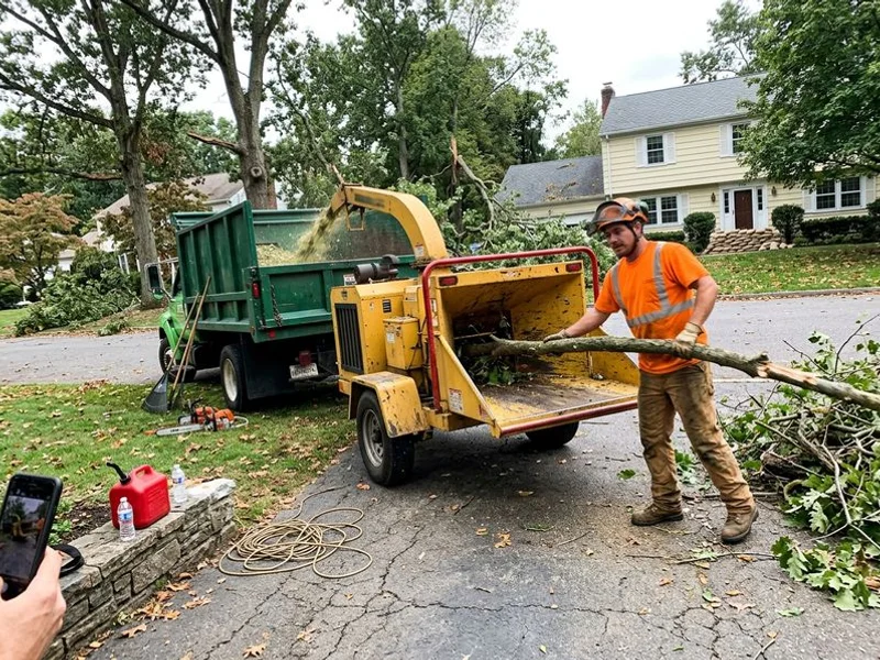 Storm cleanup in Larchmont